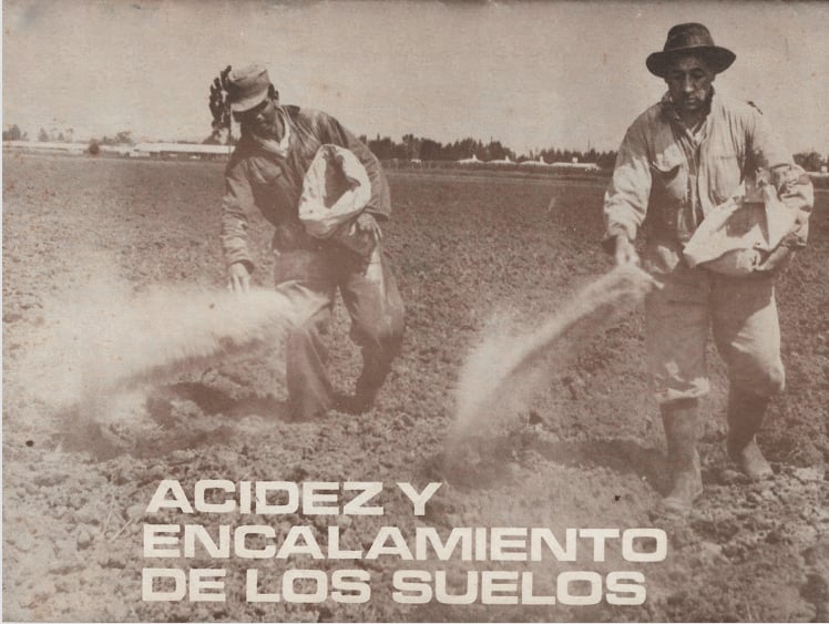Acidez y encalamiento de suelos